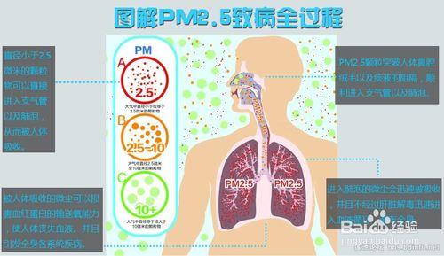 霧霾天怎樣預防霧霾的危害？