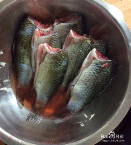 經典美食之油炸小鯽魚：[2]經典美食