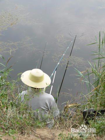 怎樣釣魚的方法