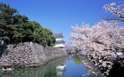 怎樣在日本外出就餐