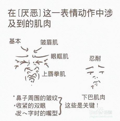 動漫表情畫法（惡）