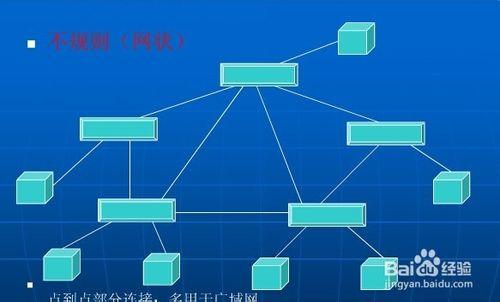 網路中的拓撲結構分類解析