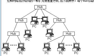 網路中的拓撲結構分類解析