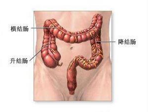 右上腹痛是怎麼回事