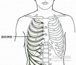 右上腹痛是怎麼回事