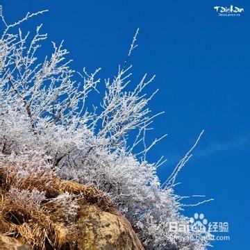 旅遊爬泰山需要注意什麼問題及需要帶什麼東西