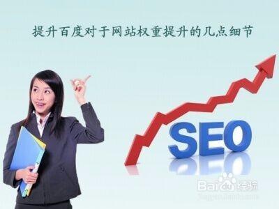 學習SEO新手應該從哪裡開始