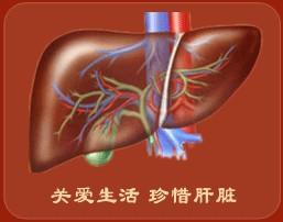 晚餐決定你的體重和壽命