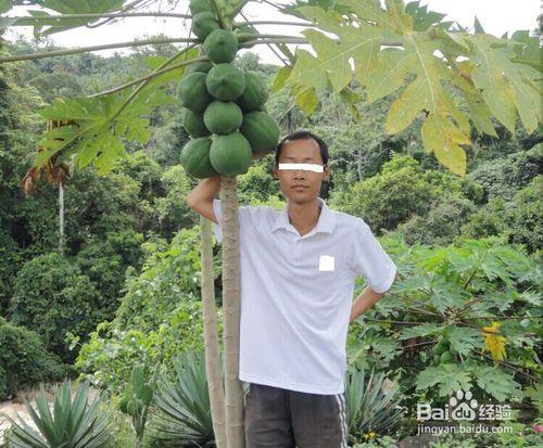 怎麼在非洲度過漫長的時間？