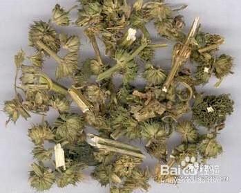 益母草雞蛋紅棗茶怎麼熬？