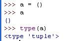 【Python】元組的標識是什麼