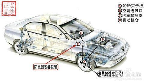 汽車防鼠網安裝，安裝步驟公司、方法與技巧