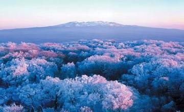 吉林省白山市旅遊