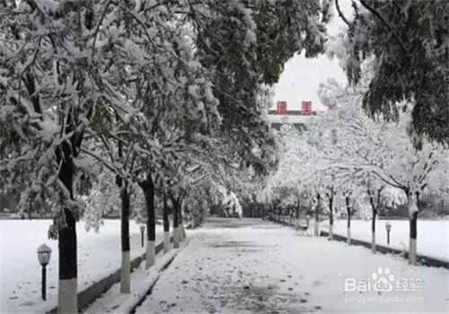 下雪天上班路上應注意什麼