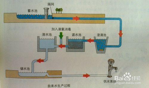 淨化天然水實驗