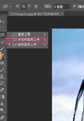 photoshop套索工具使用方法