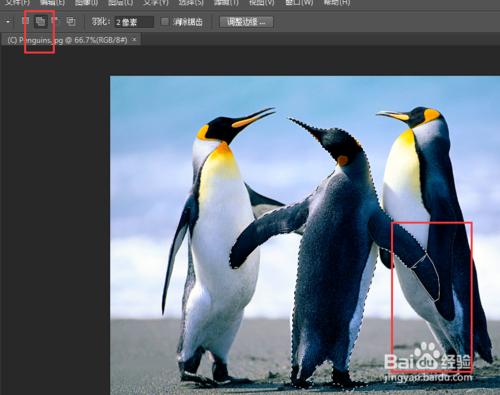 photoshop套索工具使用方法