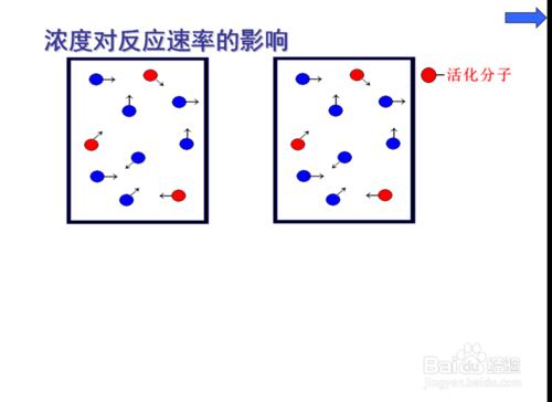 化學反應速率的影響因素-濃度-1.1