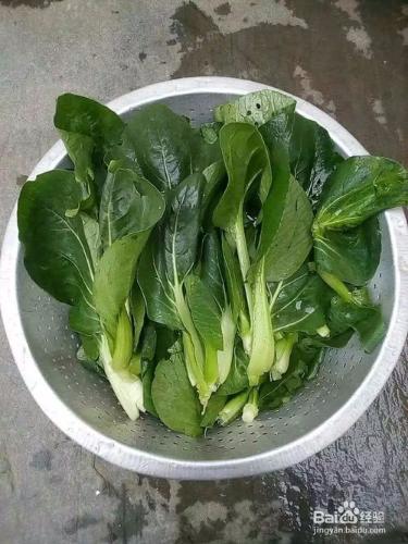 胡蘿蔔茭白青菜水餃怎麼做