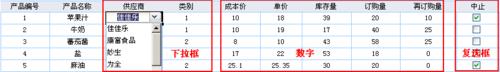 web圖表開發工具：FineReport數字、複選框控制元件