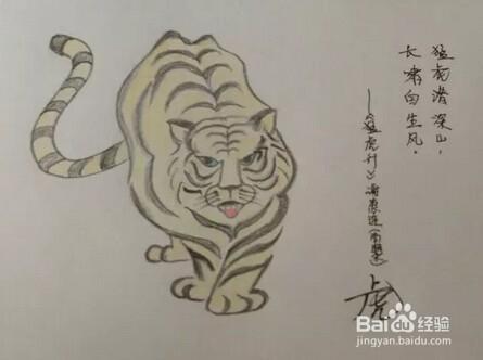 簡筆畫動物：[3]中國生肖-虎