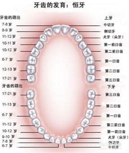 怎樣科學地幫孩子養牙護牙