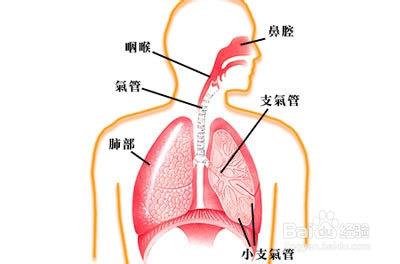 小孩為什麼會得肺炎？