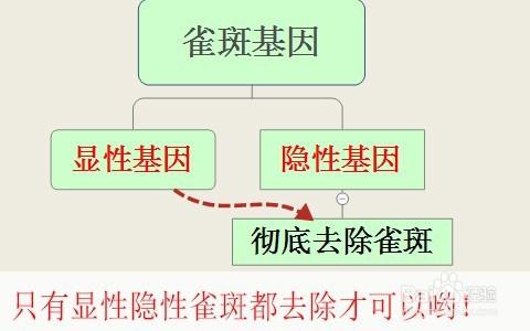 長期玩兒手機電腦會長斑嗎 雀斑怎麼去除好