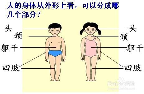 小學低年級可開展的心理健康教育活動課內容？