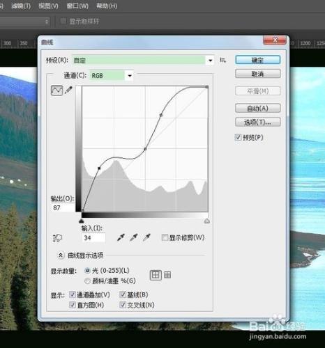 ps軟體怎麼使用？：[23]曲線調整圖片色調