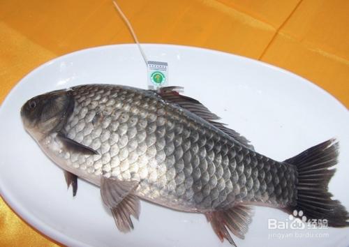 小兩口的懶人美食：：[3]清蒸鯉魚