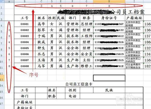 如何高效將員工資訊庫製作成員工個人資訊卡片