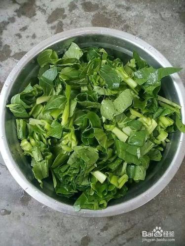 蒜蓉青菜怎麼做