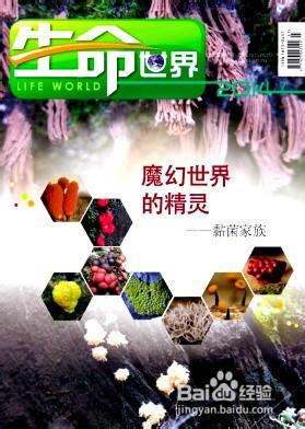 生物論文怎麼快速發表