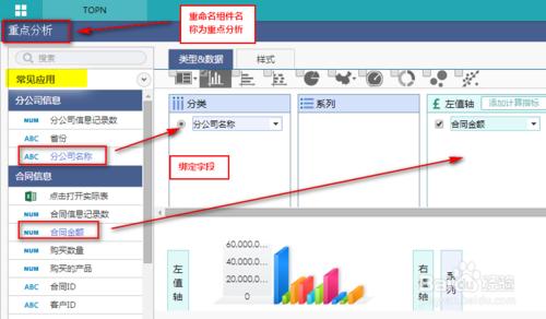 資料統計分析軟體如何使用topn重點分析