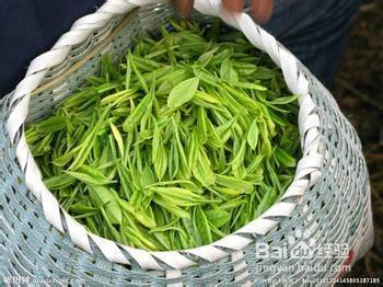 十種特別能有效減肥的食物（非常全面）