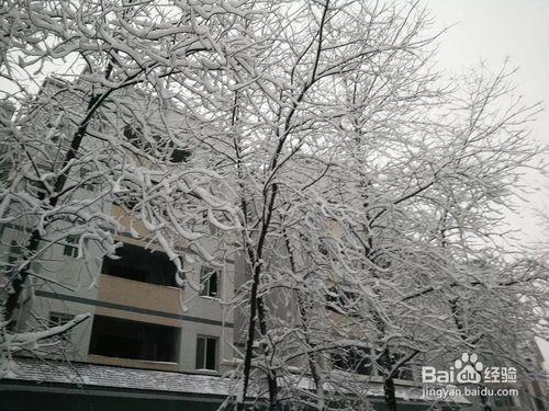 冰天雪地的工地風景