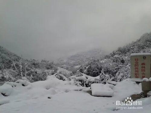 冰天雪地的工地風景