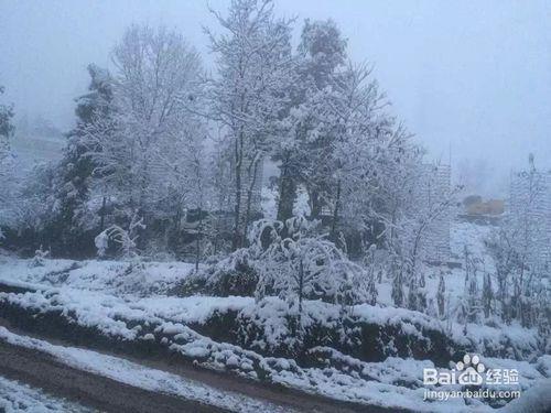 冰天雪地的工地風景