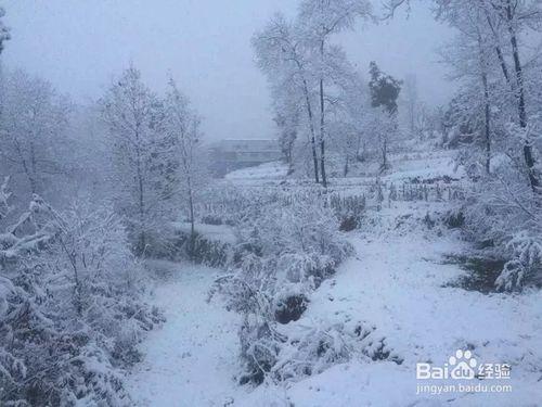 冰天雪地的工地風景