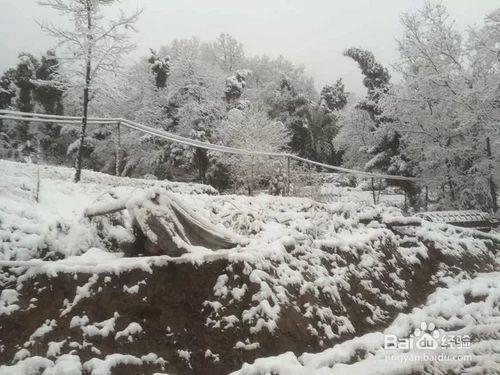 冰天雪地的工地風景