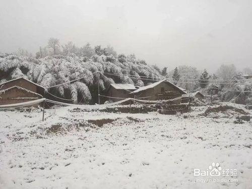 冰天雪地的工地風景