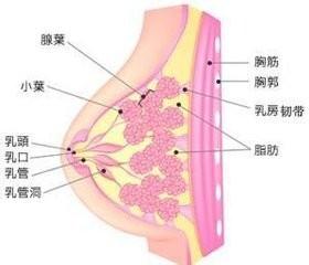 乳腺增生治療方法