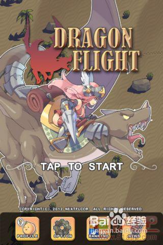 《Dragon Flight》：細膩度欠佳