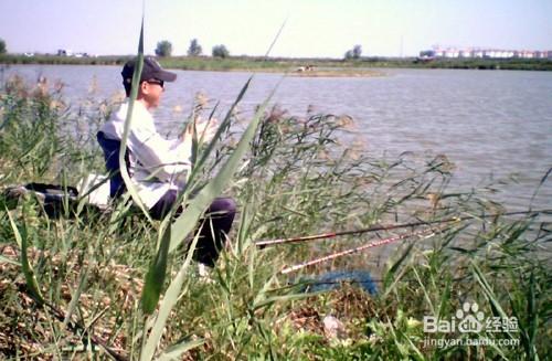 河邊野外釣魚技巧