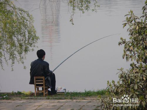 河邊野外釣魚技巧