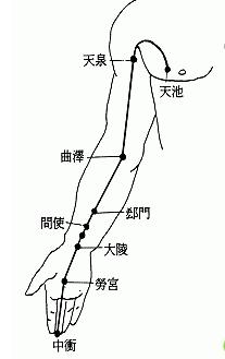 手闕陰心包經·修復心臟促排毒