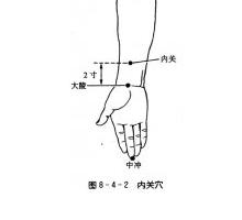 手闕陰心包經·修復心臟促排毒