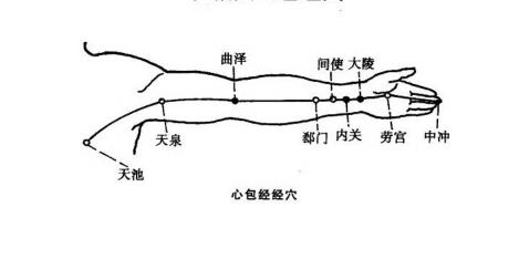 手闕陰心包經·修復心臟促排毒