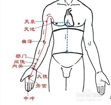 手闕陰心包經·修復心臟促排毒